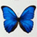 mukorom.hu - Barizs Szilvia