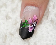Best Nails - fény nélkül