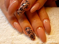 saját köröm diszitése