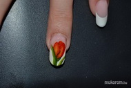 Best Nails - watercolor tulipan