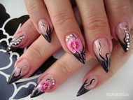 Orchidea egy virágboltosnak