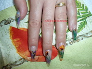 Best Nails - Pipacsok