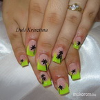 Klaudiának uv sárga pálmafákkal