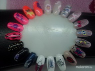 Kedvenc margarétám