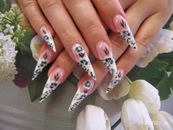 böbinek fekete fehér