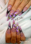 Barbi