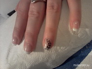 francia fekete virággal