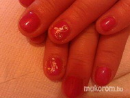 Best Nails - géllakk