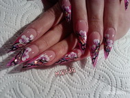 Evelin