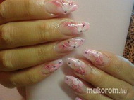 Best Nails - porci