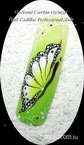 butterfly nail