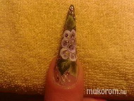 Best Nails - akril festés