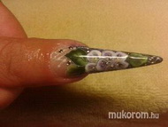 Best Nails - akril festés