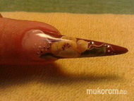 Best Nails - akril festés