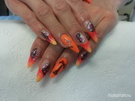 Nyári színkavalkád