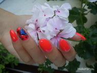 Best Nails - pillangós