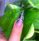 Kombinált díszítések