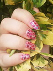 pink leopárd