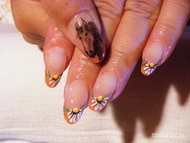 Holdfény kamillák közt