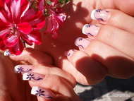 Best Nails - Andinak