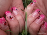 Best Nails - Andi katicái