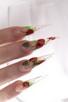 Best Nails - cseris