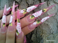 hugi szalagtűzős körme