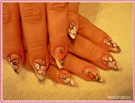 Épített zselé hozott kép alapján