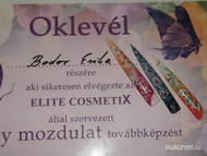 sokat dolgoztam velük