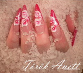 Zselés köröm akril díszítéssel