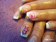 Rózsa pillangó új párosításban2