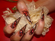 Best Nails - Vankovicsné Hári Erika
