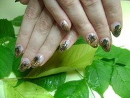 Alízka őszi körme