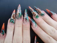 Vankovicsné Hári Erika