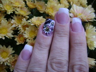 Egyszerű francia,-pici mintával