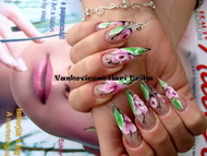 Vankovicsné Hári Erika