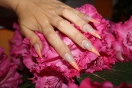 Best Nails - .