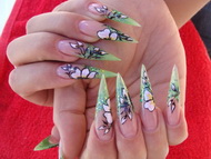 Vankovicsné Hári Erika