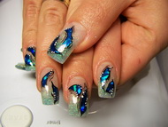 Kék kagylólap akril kontúrral