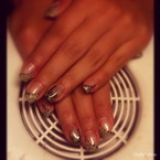 Brilliant zselé madártollal