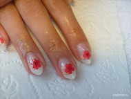 Ildikó szárított virágai 2