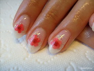 Ildikó szárított virágai 3