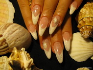 Igazi Horvát tengerparti kagylóval