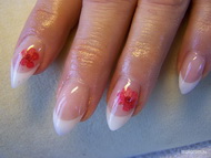 Szárított virágok