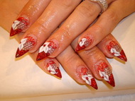 Best Nails - Built-in nail pictures