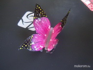 Saját készítésű 3D pillangóm