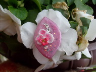 legújabb szépségem