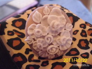 Best Nails - rózsás gyűrű