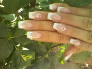 Evy egyszerű franciája