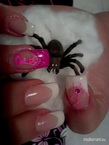 Leila pink pókja